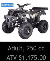 Adult, 250 cc ATV $1,175.00