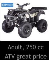 Adult, 250 cc ATV great price