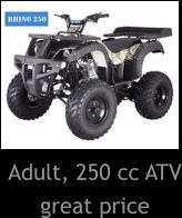 Adult, 250 cc ATV great price