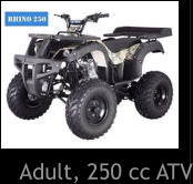 Adult, 250 cc ATV