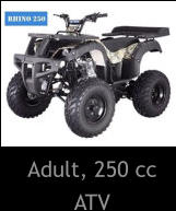 Adult, 250 cc ATV