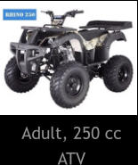 Adult, 250 cc ATV