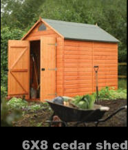 6X8 cedar shed