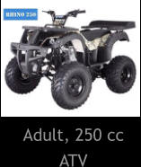 Adult, 250 cc ATV